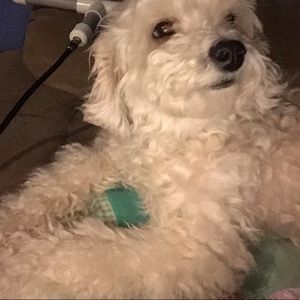 Meet your Posher, Juan